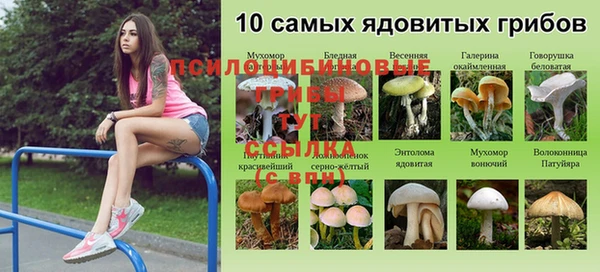 ГАЛЛЮЦИНОГЕННЫЕ ГРИБЫ Протвино