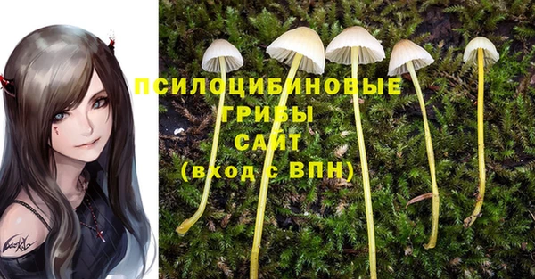 ГАЛЛЮЦИНОГЕННЫЕ ГРИБЫ Протвино