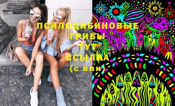 ГАЛЛЮЦИНОГЕННЫЕ ГРИБЫ Протвино