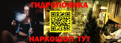 дживик Ачхой-Мартан