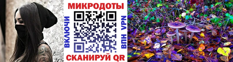 где продают Уварово Псилоцибиновые грибы MAGIC MUSHROOMS