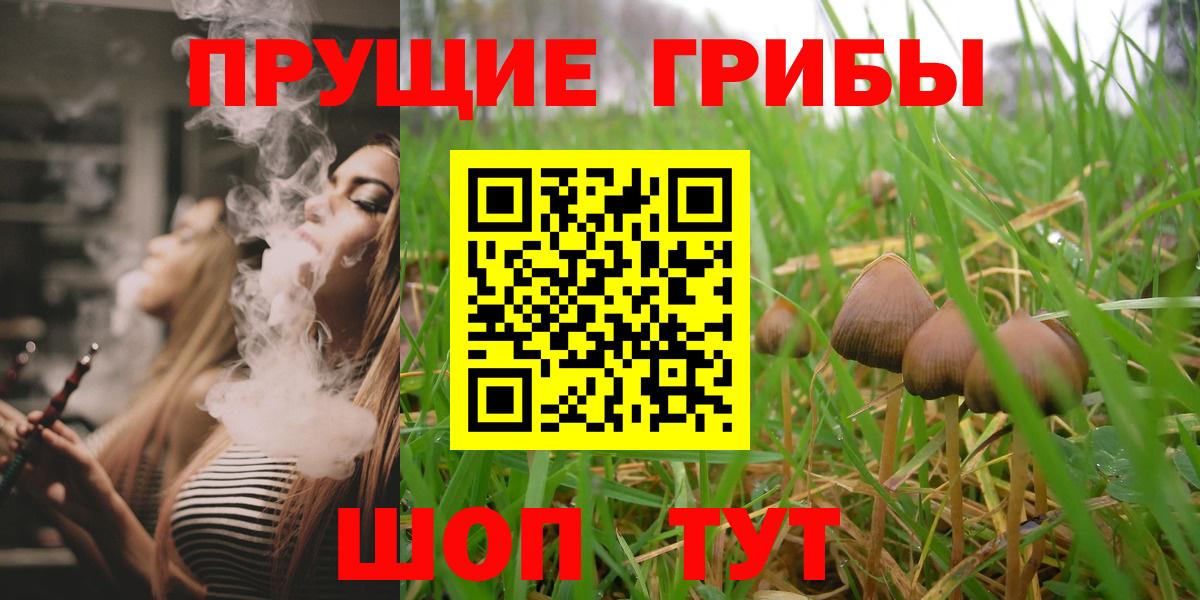 Уварово  Галлюциногенные грибы прущие грибы  Вход с VPN 