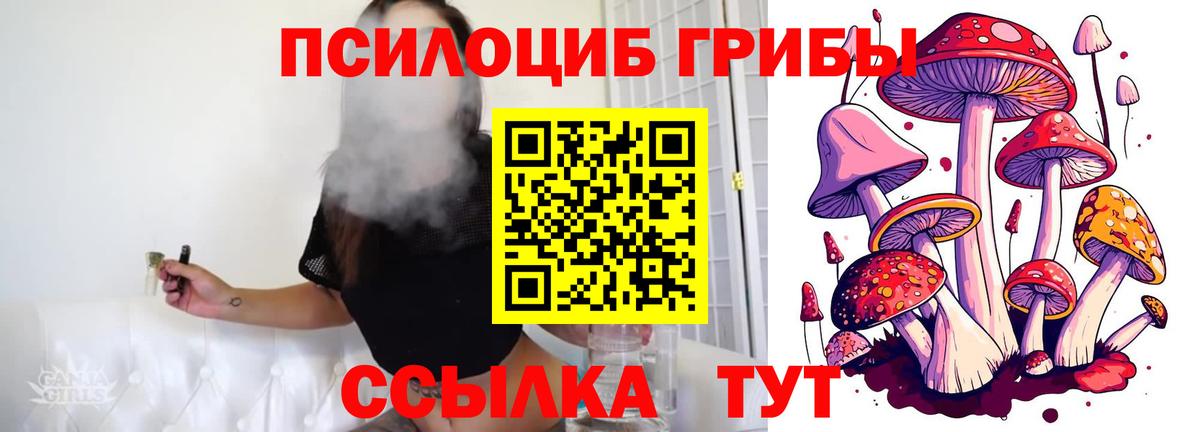 Псилоцибиновые грибы Magic Shrooms Уварово